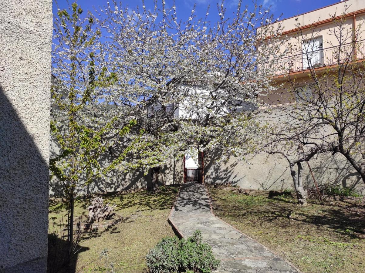 Bed and Breakfast Antica Dimora Palazzo Rovitti Cerchiara di Calabria Esterno foto